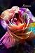 Produktbild Notizen: Rose bunt Kunst Rosenblüte Garten Gärtner Park Rosenblatt floral Floristin Kunstblume Notizbuch Terminplaner Merkbuch Blumenfreund