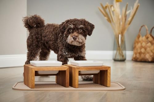 Wolters Cat & Dog Écuelle Meshidai True