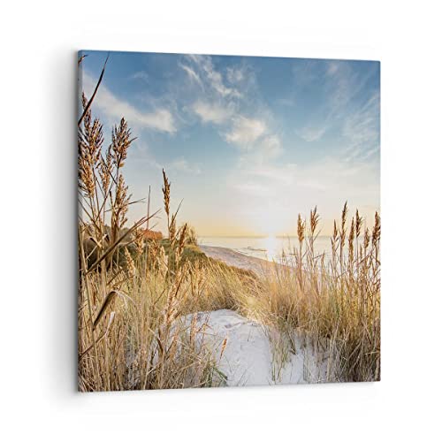 Wandbilder Dekoration Wohnzimmer Ähren Küste Sonne Bilder auf Leinwand 50x50cm Leinwandbild mit Rahmen Schlafzimmer Küche Deko Wand Kunstdruck Art Klein Wanddeko Bild Wall Decor Canvas AC50x50-4653 Wandbilder Dekoration Wohnzimmer Ähren Küste Sonne Bilder auf Leinwand 50x50cm Leinwandbild mit Rahmen Schlafzimmer Küche Deko Wand Kunstdruck Art Klein Wanddeko Bild Wall Decor Canvas AC50x50-4653