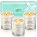 LA BELLEFÉE Scented Candles, Natural Soy Wax Aromatherapy Gift Set, 100% Cotton Wick Votive Candle for Outdoor and Indoor, Fragrances of Pear & Freesia, Blood Orange, Bluebell-3 Pack