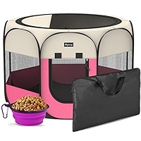 ジェネ犬 ぴこぴこキャップ７個セット Amazon.co.jp: GENERATIONS 高校TV おおきめマスコット