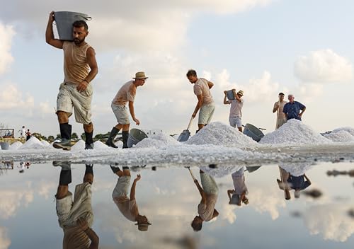 Fior di Sale aus Trapani (Sizilien) | Naturbelassenes Meersalz | Aromatisiertes Meersalz | 6er-Set à 120 g (Roter Knoblauch aus Nubia)