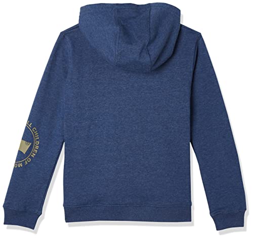Sweatshirt à capuche garçon Levi's Lvb Graphic veste avec zip robuste