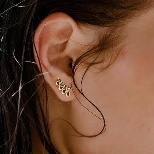 FETTERO Stud Earrings for Women - 14K Gold Plated CZ Hypoallergenic Earrings Studs Dainty Black CZ Leaf Gold Earrings for Women Trendy Statement Jewelry
