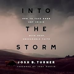 Into the Storm Audiolibro Por Josh B. Turner arte de portada