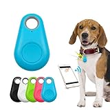 Pet Smart GPS Tracker Mini Anti-Lost Waterproof Bluetooth Locator Tracer for Pet Dog Cat Kids Car Wallet Key Collar Accessories (Blue)