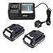 Price comparison product image J-Conel 2X BL1021B 2.0Ah 12V Battery and Charger DC10WD Compatible with Makita BL1015 BL1016 BL1021B BL1041B BL1020B BL1040B