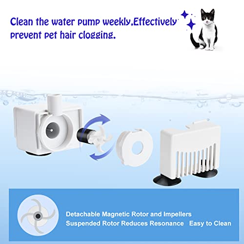 Anpetbest Cat And Dog Water Fountain, 67Oz Automatic Pet Fountain For Cats Dogs Ultra Quiet Dispenser With Multiple Pets, Includes Plug 1 Filter Replacements Included, White (Ct-Wf-01) #TOP5