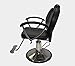 Hair Beauty Salon Chair Equipment - Black Hydraulic Barber Styling Hair Chair for Stylist Home Styling Salon Chairs