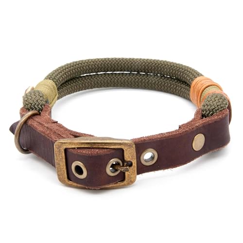 Hundehalsband aus Tau & edlem Leder | Olive Grove | verstellbar & robust | Elegantes, handgefertigtes Design | Halsband Hund für mittelgroße & große Hunde mit Schnalle – Oliv-grün