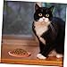 Toyvian 4pcs Nonslip Cat Bowl Ergonomic Wide Flat Bottom Design for Cats Dogs Sturdy Feeding Dish for Dry Wet Food Treats Water Legged Breeds