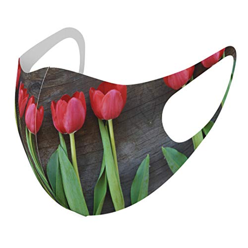 [igsticker] fUC }XN QZbg |GXe 􂦂 z}XN XLTCY 傫 jp 002731 ʐ^Ei  `[bv ʐ^