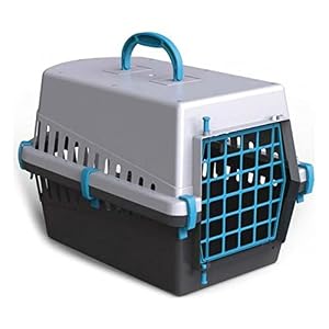 GP GP572S Hartschalen-Transportbox Grau/Blau