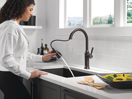 Delta Faucet Renaldi ProClean Oil Rubbed Bronze Kitchen Faucet with Sprayer and Dispenser