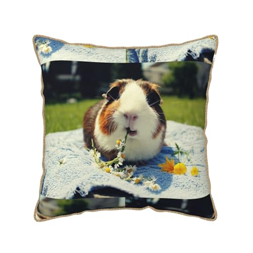 Housse de coussin cochon d'Inde velours finie la déco fade avec ce textile durable - 2