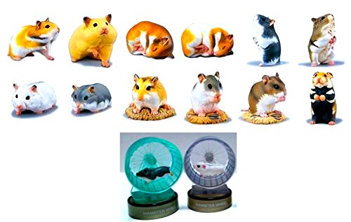 Amazon.co.jp: 北陸製菓 ハムスターズランチ 全12種＋シークレット2種