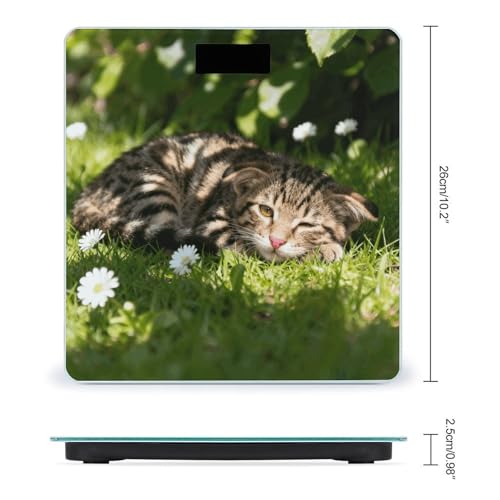 Báscula Digital Cute Cats para el Cuerpo, 180kg miniatura 2