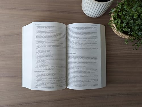 The One Year Chronological Bible NIV (Softcover) - Image 6