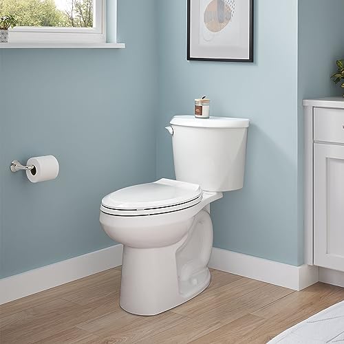 Zurn Z5560-BWL Toilet Bowl Only, ADA, Elongated Pressure Assist, for Two-Piece Toilet