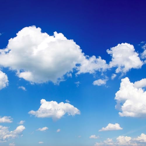 Cloud Watching is my COMFORT ZONE?