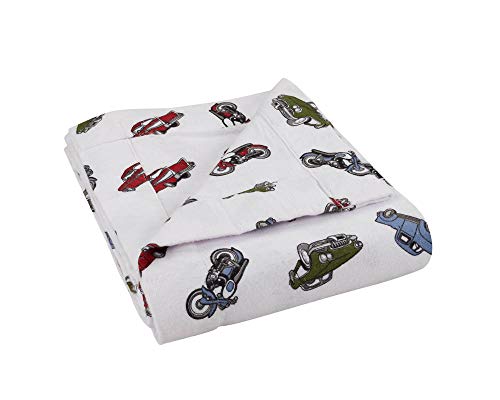 DELANNA Flannel Throw, 2-Ply Thick Blanket 100% Cotton (50" x 60", Cars)