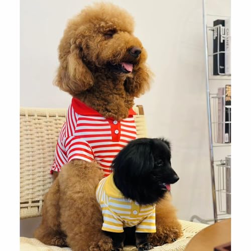 T-shirt respirant pour chien HMJGDZG polo à col doux anti-frottement taille M