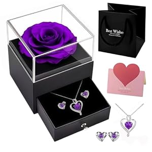 Preserved Red Real Rose with Heart Necklace Earrings Gift Box