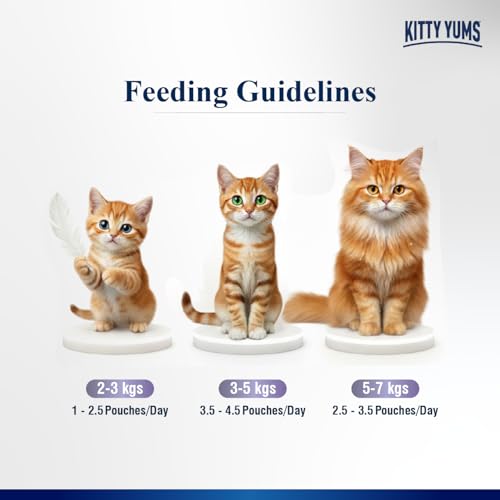Image of Kitty Yums Adult Cat Wet Mousse 80g(4+1) Pack of 5, 400g | Ocean Fish | Rich in Protein | Promotes Hydration & Easy to Digest | No Artificial Flavours | Packed with Essential Vitamins & Antioxidants