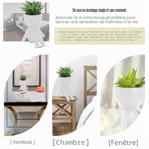 Plantes de Cactus Succulentes en Céramique Noire Design
