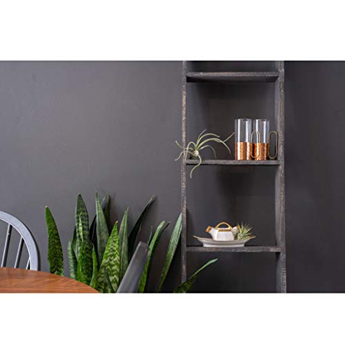 BarnwoodUSA Rustic Farmhouse Blanket Ladder - Our 5 ft Ladder can be Mounted Horizontally or Vertically and is Crafted from 100% Recycled and Reclaimed Wood | No Assembly Required | Black