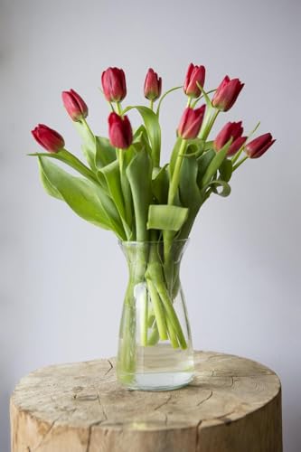 Image of KaBloom-10 Red Tulip Bouquet,Flowers for Valentine, Mother's Day