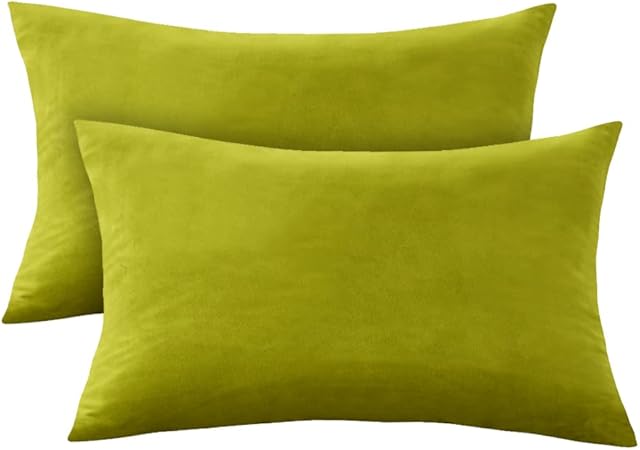 RENMEI Set of 2 Green Cushion Cover for Sofa 12X20 Inches 30cm x 50cm Soft Smooth Throw Pillowcases en Velvet for Bedroom with Invisible Zipper