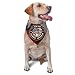1st Special Forces Group Afghanistan Combat Veteran Triangle Dog Bandana Scarf Accessories for Pet Bibs