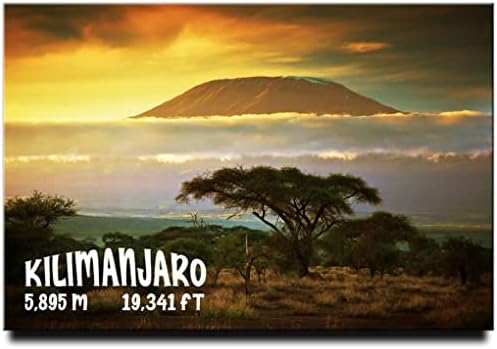 Kilimanjaro Mount Fridge Magnet Africa Travel Souvenir Safari Tanzania image 3