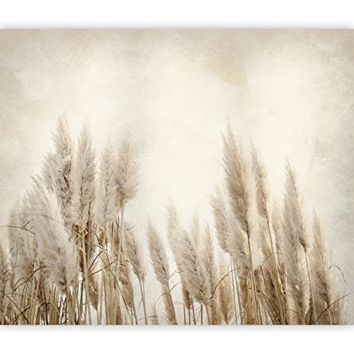 murando Papier peint intissé Herbe de la pampa 350x256 cm Décoration Murale XXL Poster Tableaux Muraux Tapisserie Photo Trompe l'oeil Natur Champ Prairie b-A-10095-a-a Cover