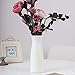 Ceramic Look Plastic Vase - Unbreakable Vase for Flowers (Narrow Seashell White)