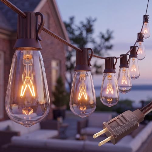 10Ft ST40 Outdoor String Lights with 11 Incandescent Bulbs E17 Scoket Base Waterproof Patio String Lights Hanging Vintage Edison Lights Outdoor for Backyard Garden Porch Party Wedding Decor Brown
