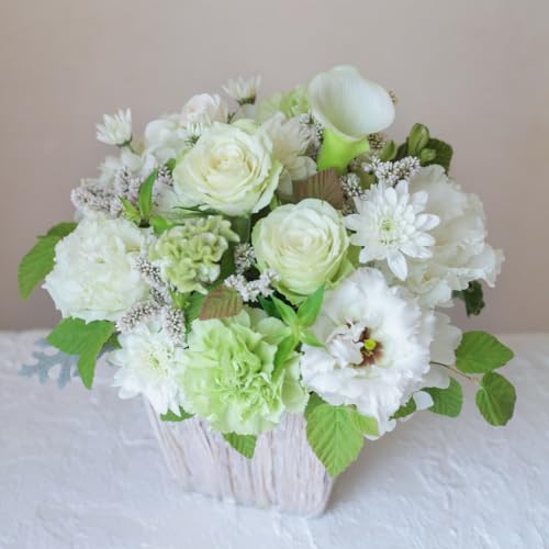     O @̉   r t[AWg     䋟 @v l\  ʎ  V  AWg ybg t[Mtg  zCgn ha-w