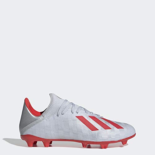 adidas Men's X 19.3 Firm Ground Soccer Shoe, Silver...