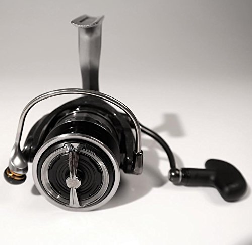 Amazon.com : Daiwa Caldia 18 LT 5000D CXH : Sports & Outdoors