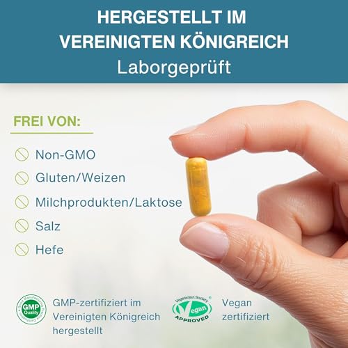 Longvida Curcumin 500 mg, hochdosiert, 285x höhere Bioverfügbarkeit als standard Kurkumin, sichere Langzeitanwendung, vegan, 30 Kapseln
