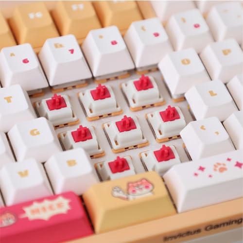 Image of GATERON iG 98 Mechanical Keyboard(Bonanza, Mini i Switch)