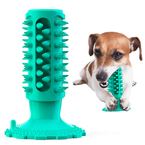 juguetes para perros hiperactivos