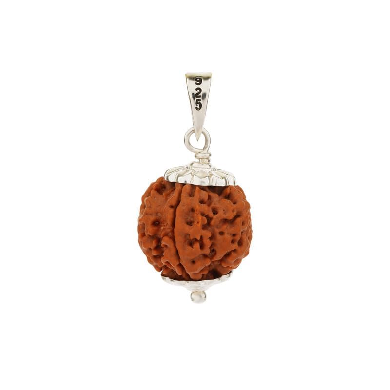 Image of Gemsmantra Energized 7 Mukhi Rudraksha Bead with 92.5 Sterling Silver Pendant, Original Nepali Lab Certified, Natural Spiritual Jewelry for Men and Women (Medium Size)