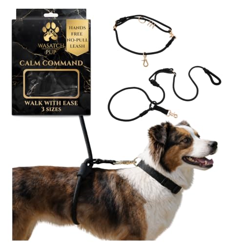 Wasatch Pup Hands-Free No-Pull Dog Leash | Durable Adjustable Training Lead for Dogs | Calm Command Outdoor Activity Leash for Active Pet Lifestyle Breeds | Ergonomic Handle - Medium (25-60 lbs)