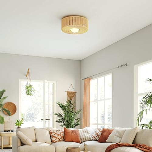 HOMCOM Lámpara de Techo con Bombilla LED