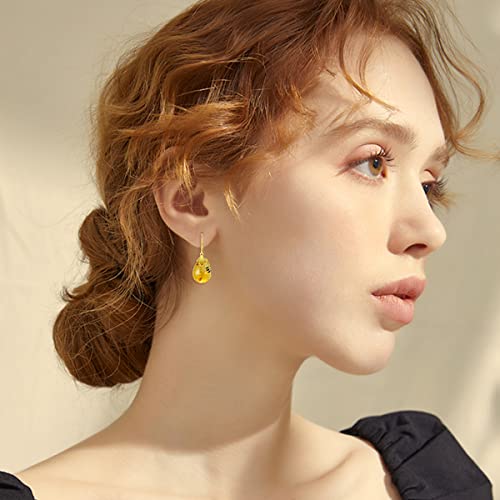 Image of TIGER RIDER Bee /Butterfly /Scorpion /Cactus /Leaf /Beetle 925 Sterling Silver French Clasp Leverback Earrings Amber /Crystal /Citrine /Moonstone /Obsidian /Jade /Rose quartz Pendant Jewelry Gift for Women