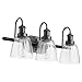Quorum Lighting 508-3-59 3 Light Bath Vanity In Transitional Style-10.5 Inches Tall and 22.5 Inches Wide Matte Black Finish with Clear Seeded Glass