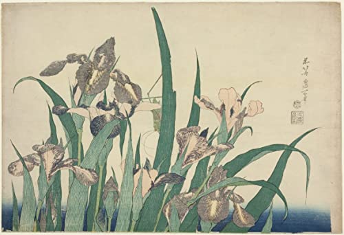 Poster Peinture Hokusai Iris et Sauterelle | Tableau Décoration Murale Graffiti 60x90cm