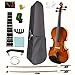 Silvio 大人のバイオリバイオリン初心者が 4/4 バイオリンを演奏するのに適した学生初心者バイオリン